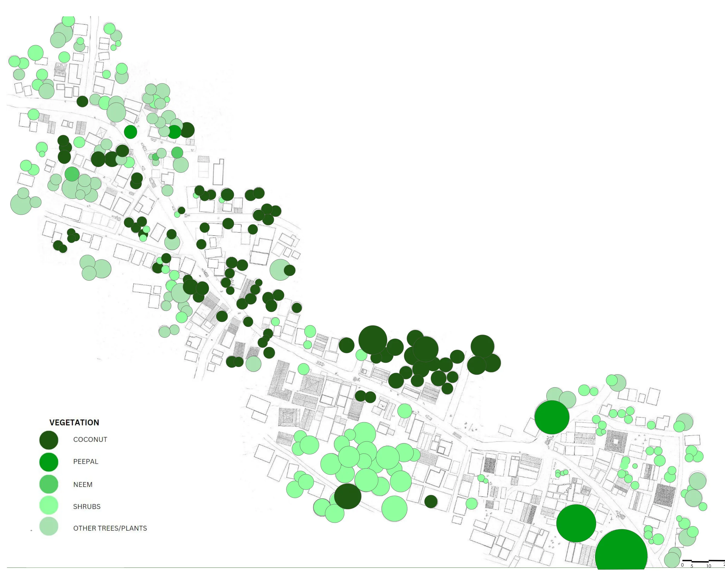 Overlay: vegetation - coconut, peepal and neem trees, shrubs and other plants in five shades of green.