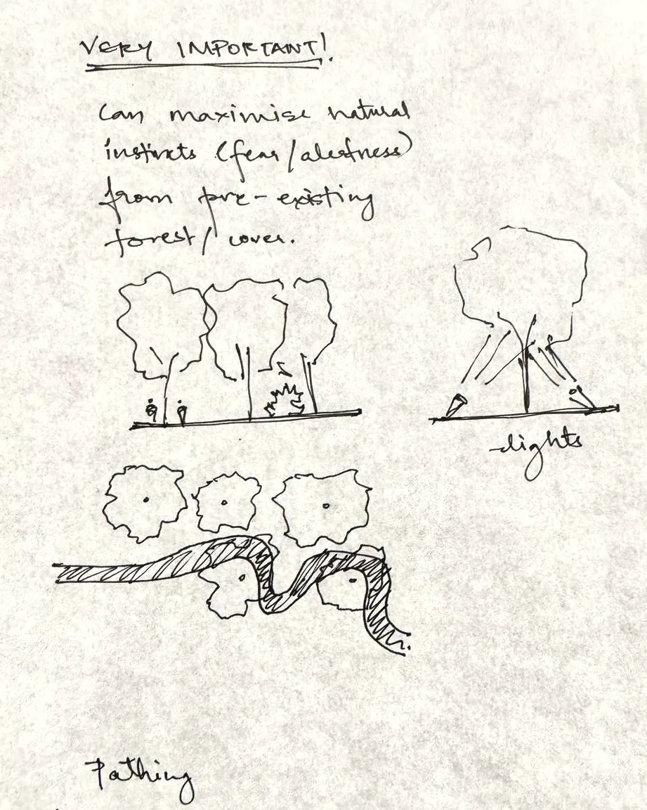 Pen concept sketch: using the existing forest cover to keep people alert, trees with lights below, a path weaving between canopies.